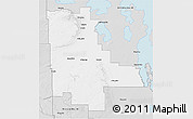 Silver Style 3D Map of Division No. 20