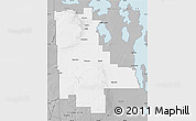 Gray Map of Division No. 20