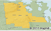Savanna Style Panoramic Map of Division No. 20