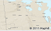 Shaded Relief Panoramic Map of Division No. 20