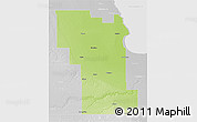 Physical 3D Map of Division No.  8, lighten, desaturated