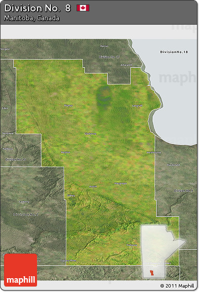Satellite 3D Map of Division No.  8, semi-desaturated