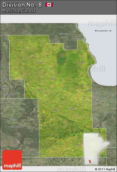 Satellite 3D Map of Division No.  8, semi-desaturated
