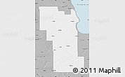 Gray Map of Division No.  8