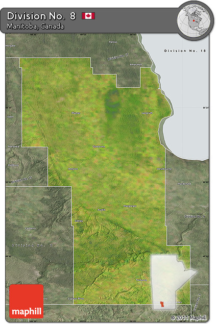 Satellite Map of Division No.  8, semi-desaturated