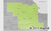 Physical Panoramic Map of Division No.  8, desaturated