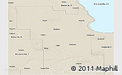 Shaded Relief Panoramic Map of Division No.  8
