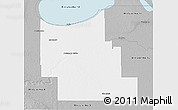 Gray 3D Map of Division No.  9