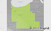 Physical 3D Map of Division No.  9, desaturated