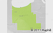 Physical 3D Map of Division No.  9, lighten, desaturated