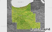 Satellite 3D Map of Division No.  9, desaturated