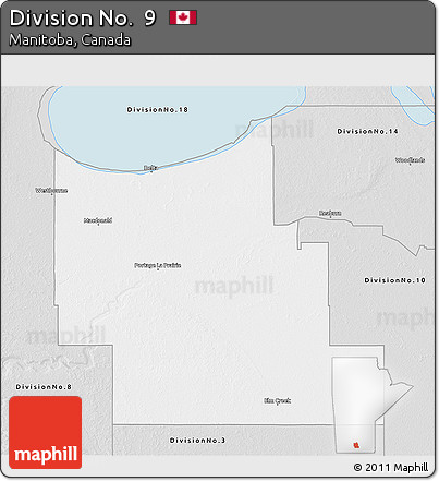 Silver Style 3D Map of Division No.  9