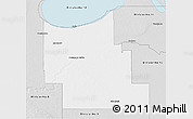 Silver Style 3D Map of Division No.  9
