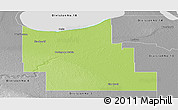 Physical Panoramic Map of Division No.  9, desaturated