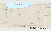 Shaded Relief Panoramic Map of Division No.  9