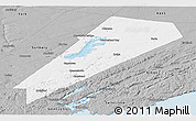 Gray Panoramic Map of Queens