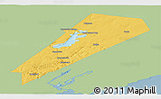 Savanna Style Panoramic Map of Queens, single color outside