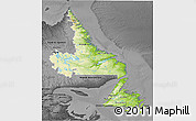 Physical 3D Map of Newfoundland and Labrador, darken, desaturated