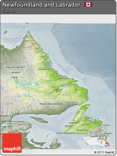 Physical 3D Map of Newfoundland and Labrador, semi-desaturated