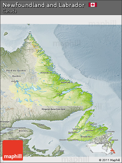 Physical 3D Map of Newfoundland and Labrador, semi-desaturated