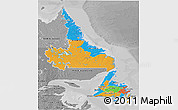 Political 3D Map of Newfoundland and Labrador, desaturated