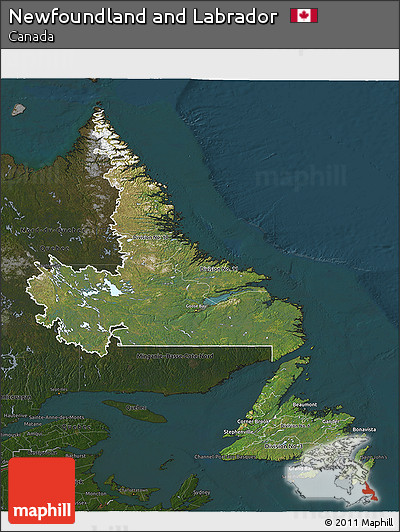 Satellite 3D Map of Newfoundland and Labrador, darken