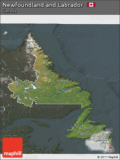 Satellite 3D Map of Newfoundland and Labrador, darken, semi-desaturated