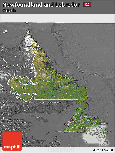 Satellite 3D Map of Newfoundland and Labrador, desaturated