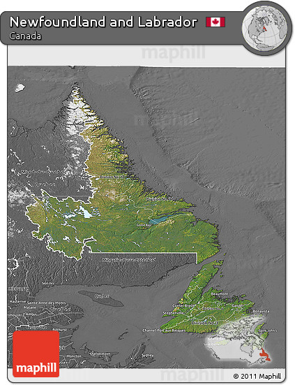 Satellite 3D Map of Newfoundland and Labrador, desaturated
