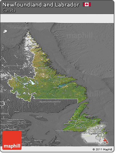 Satellite 3D Map of Newfoundland and Labrador, desaturated
