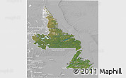 Satellite 3D Map of Newfoundland and Labrador, lighten, desaturated