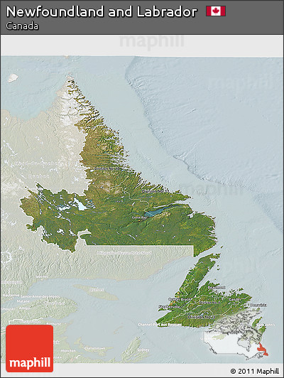 Satellite 3D Map of Newfoundland and Labrador, lighten