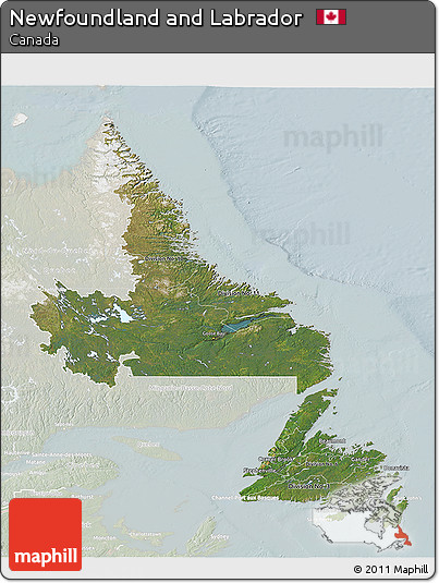 Satellite 3D Map of Newfoundland and Labrador, lighten
