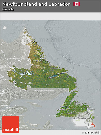 Satellite 3D Map of Newfoundland and Labrador, lighten, semi-desaturated