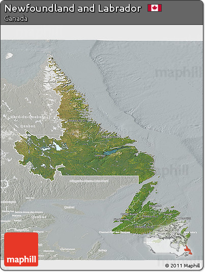 Satellite 3D Map of Newfoundland and Labrador, lighten, semi-desaturated