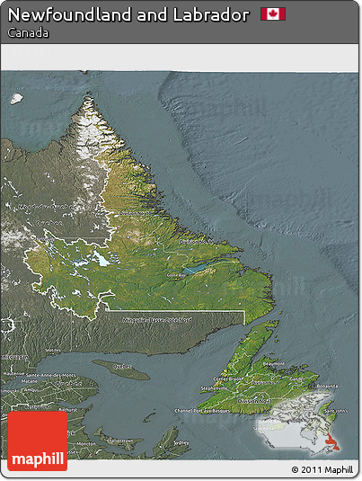 Satellite 3D Map of Newfoundland and Labrador, semi-desaturated