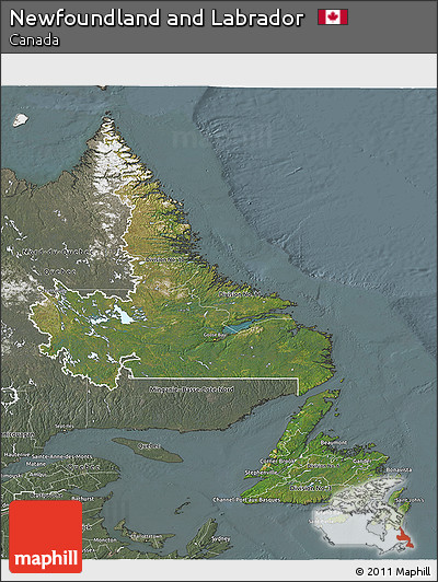 Satellite 3D Map of Newfoundland and Labrador, semi-desaturated