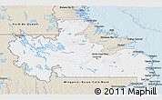 Classic Style 3D Map of Division No. 10