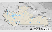 Shaded Relief 3D Map of Division No. 10, desaturated