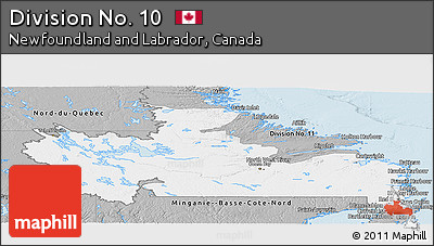 Gray Panoramic Map of Division No. 10