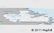 Gray Panoramic Map of Division No. 10