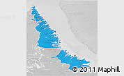 Political 3D Map of Division No. 11, lighten, desaturated