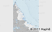 Gray Map of Division No. 11