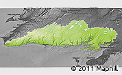 Physical 3D Map of Division No.  3, darken, desaturated