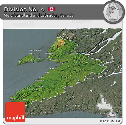 Satellite 3D Map of Division No.  4, semi-desaturated