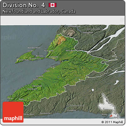 Satellite 3D Map of Division No.  4, semi-desaturated