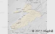 Shaded Relief Map of Division No.  4, desaturated