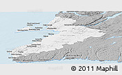 Gray Panoramic Map of Division No.  4