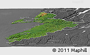 Satellite Panoramic Map of Division No.  4, desaturated