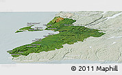 Satellite Panoramic Map of Division No.  4, lighten
